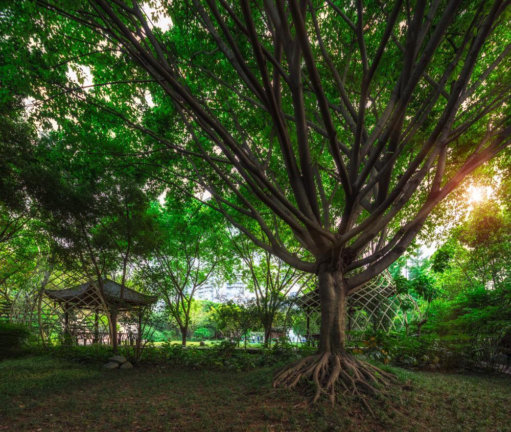 Chengdu Wangjiang Hotel Zewnętrze zdjęcie